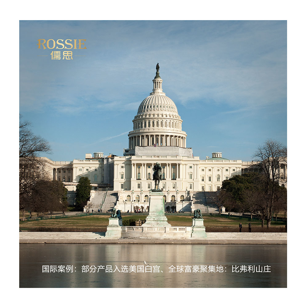 国际案例